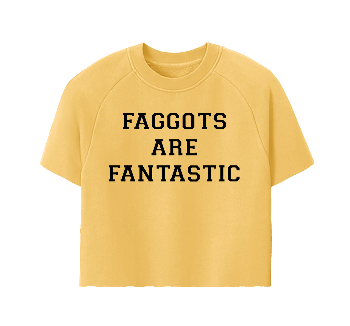 Faggots are Fantastic Hand Cropped Raglan Crewneck