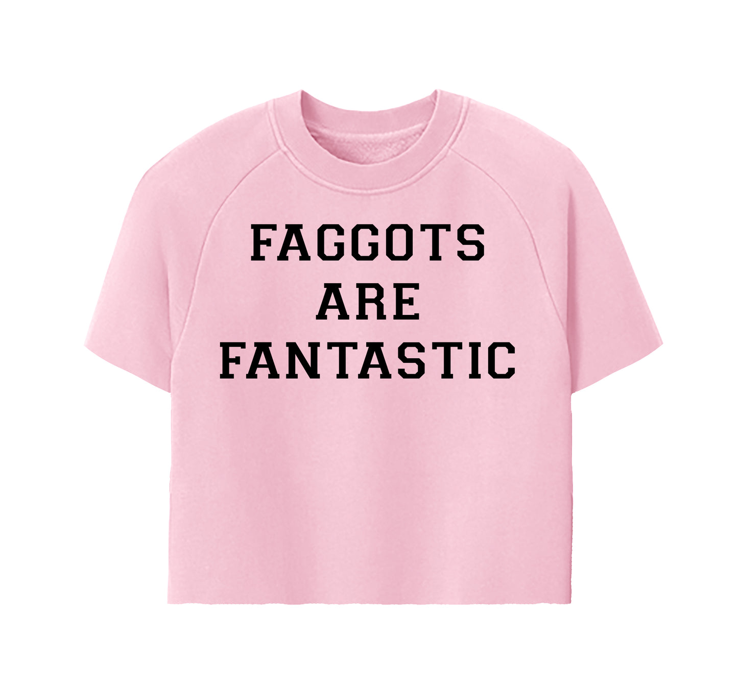 Faggots are Fantastic Hand Cropped Raglan Crewneck